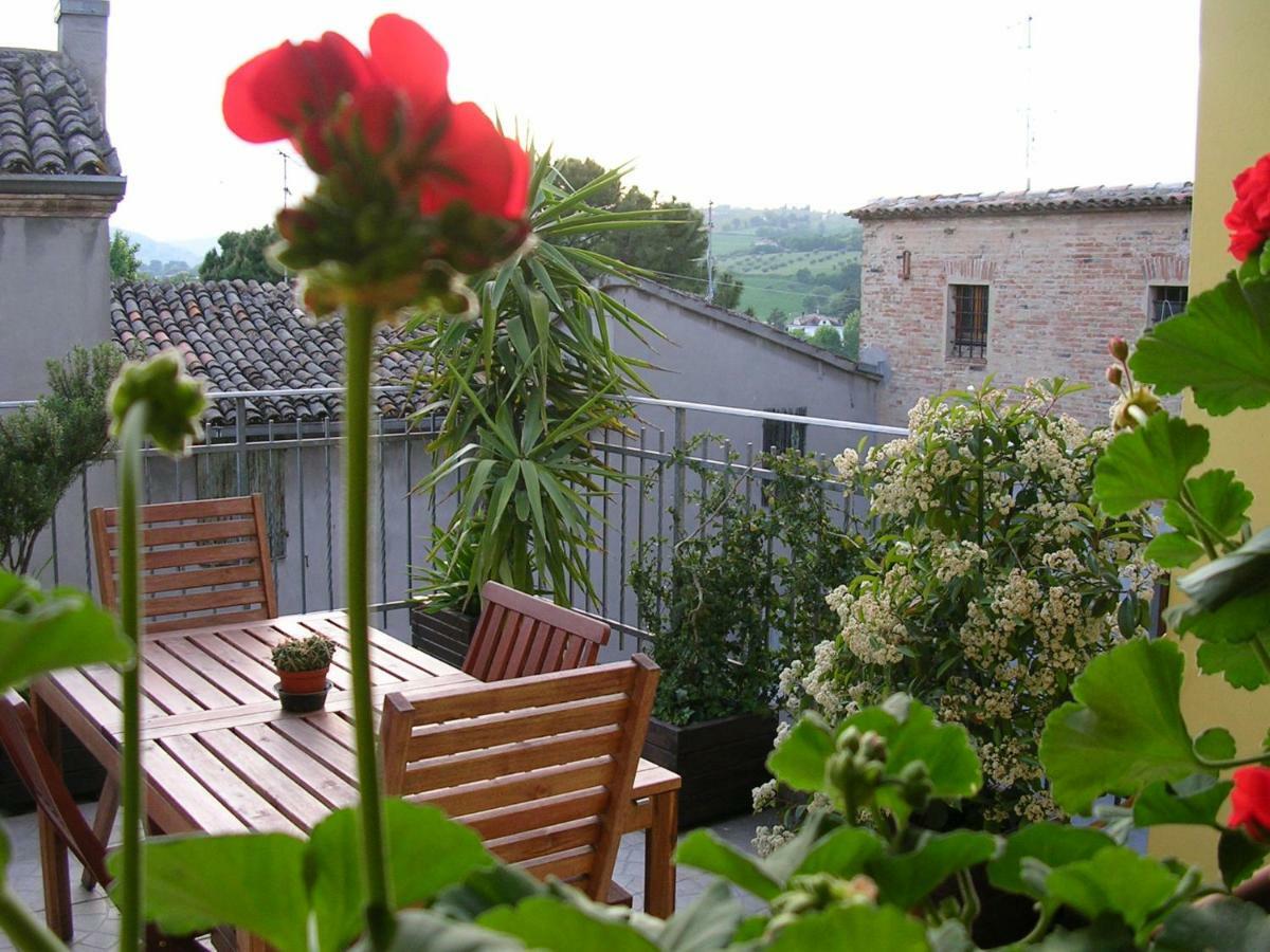 Cappone B&B Morciano di Romagna Ngoại thất bức ảnh
